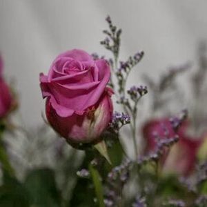 Meet your Posher, Marthe